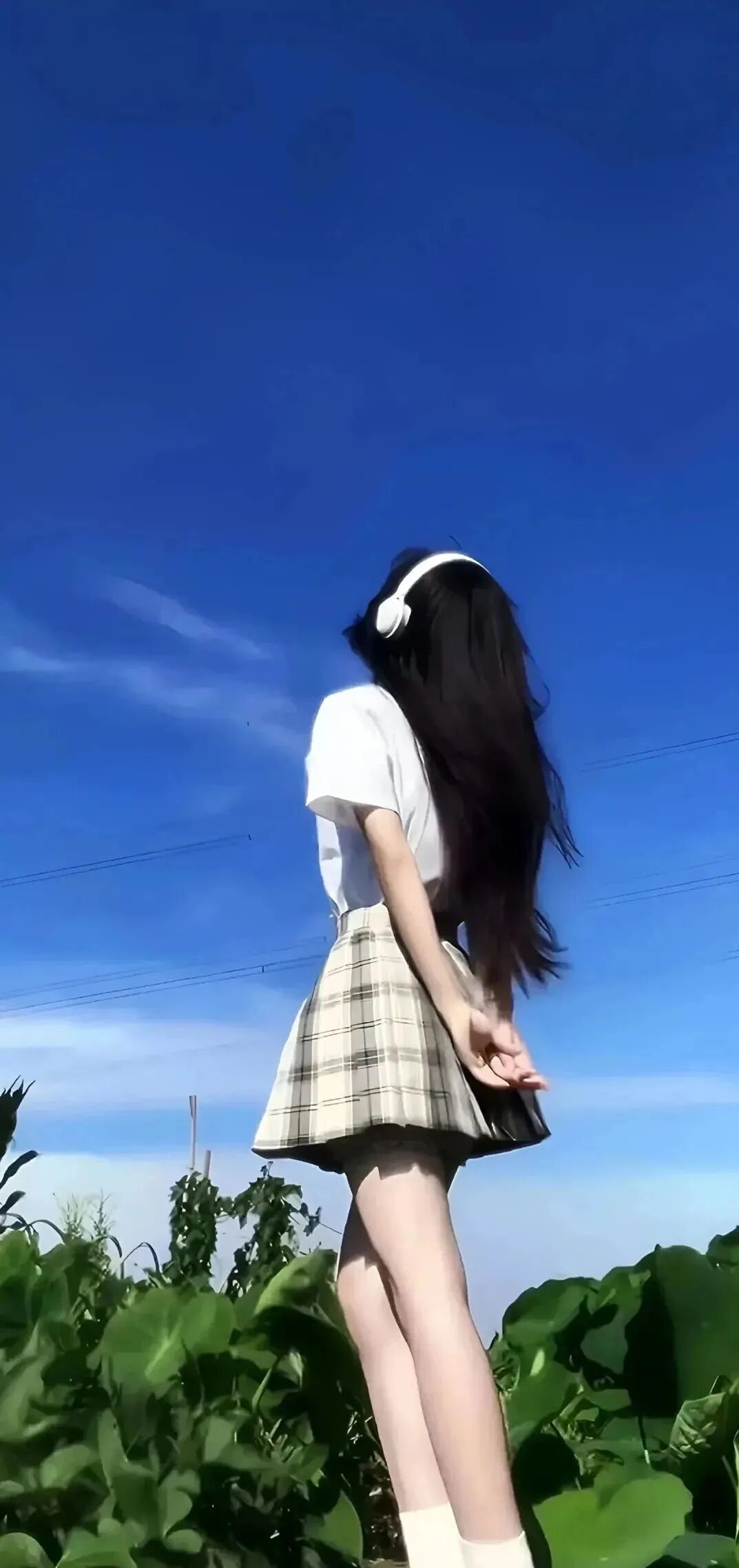 35db73285688554b74cc325364b6972d.jpg